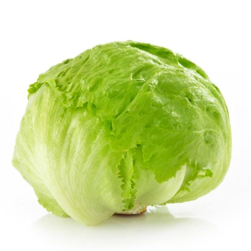 Picture of Iceberg Lettuce