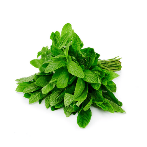 Picture of Mint