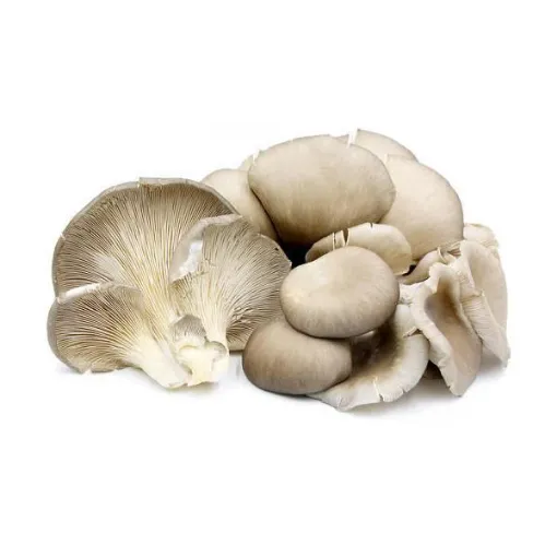 Picture of Oyster Mushroom