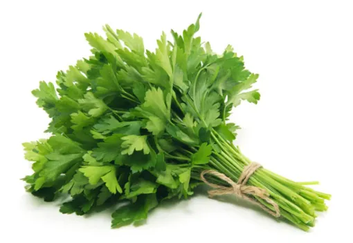 Picture of Parsley