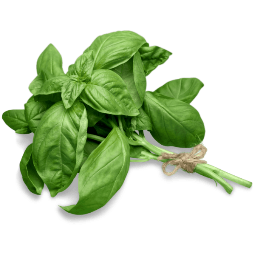 Picture of Prepacked Basil