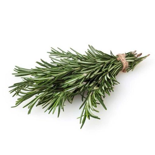 Picture of Prepacked Rosemary