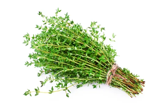 Picture of Prepacked Thyme