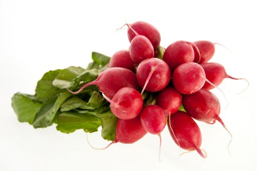 Picture of Radish