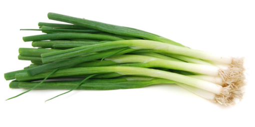 Picture of Spring Onion