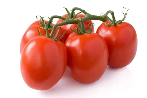 Picture of Tomato Plum