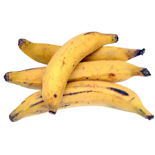 Picture of Plantain