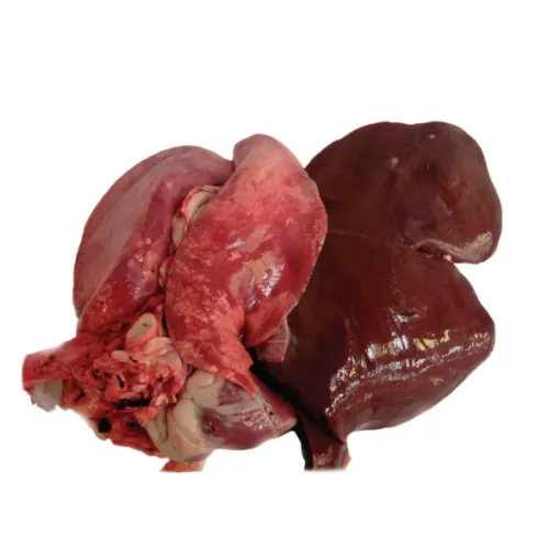 Picture of Lamb Liver